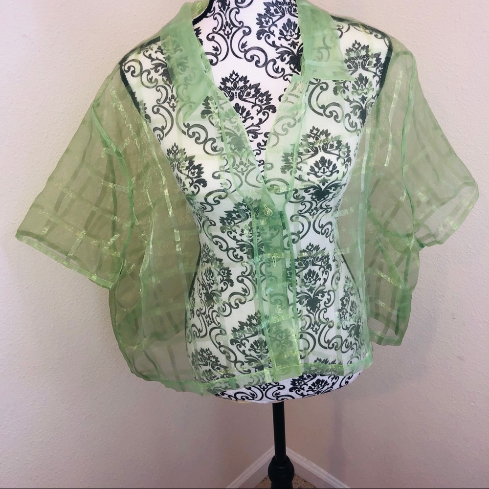 Studio C Sheer Cropped Shirt - Picture 4 of 5